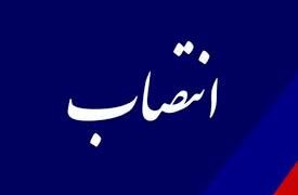 مدیر برنامه ریزی شرکت خطوط لوله و مخابرات نفت منصوب شد