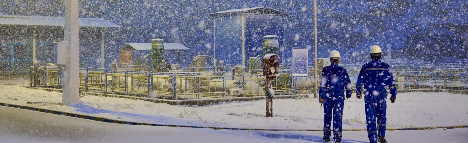 _DSC4922 1 _DSC4922 1